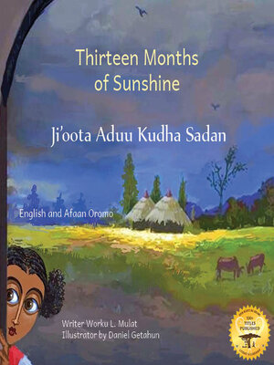 cover image of Thirteen Months of Sunshine